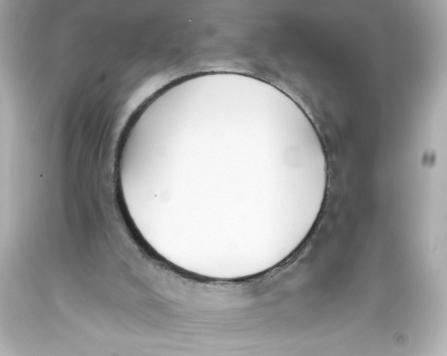 X0000093380008200711011259