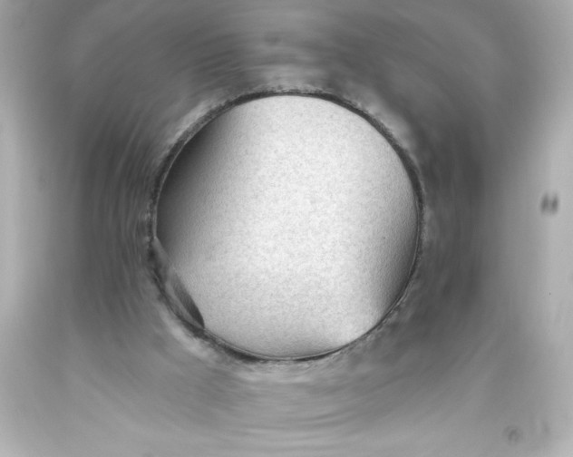 X0000093380009200711011259