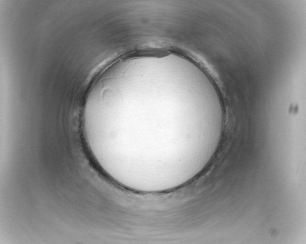 X0000093380010200711011259