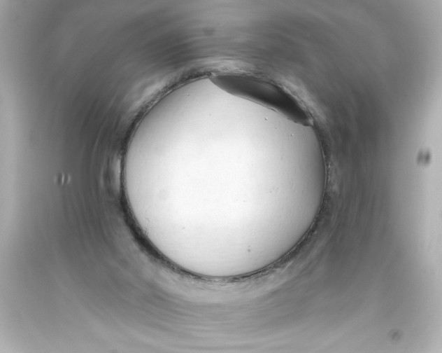 X0000093380014200711011259