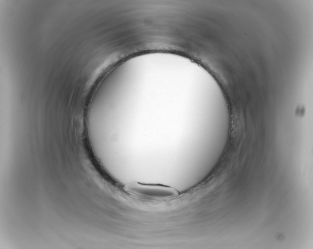 X0000093380015200711011259