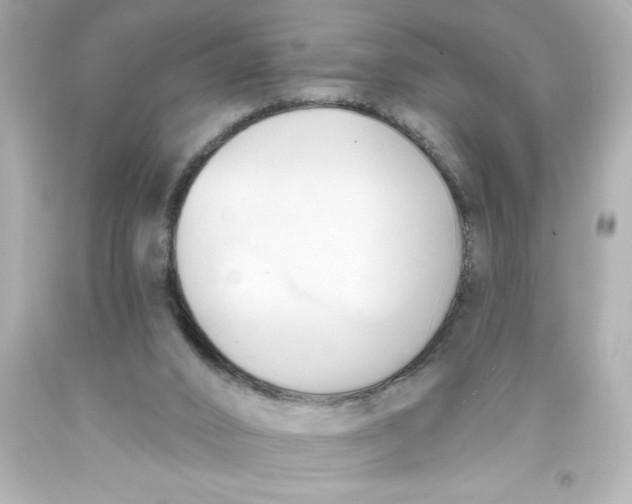 X0000093380016200711011259