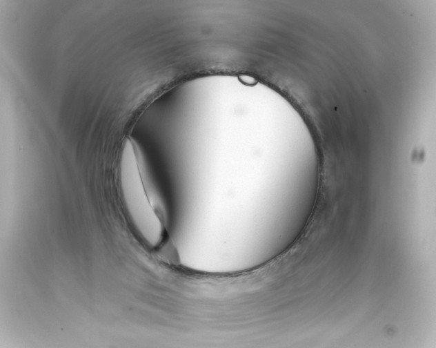 X0000093380017200711011259