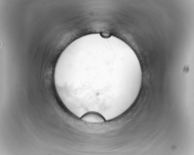 X0000093380018200711011259