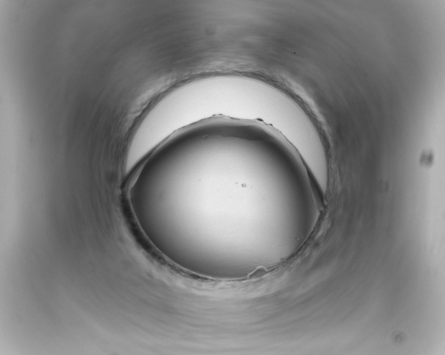 X0000093380019200711011259