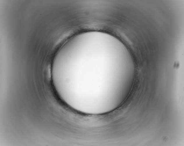 X0000093380020200711011259