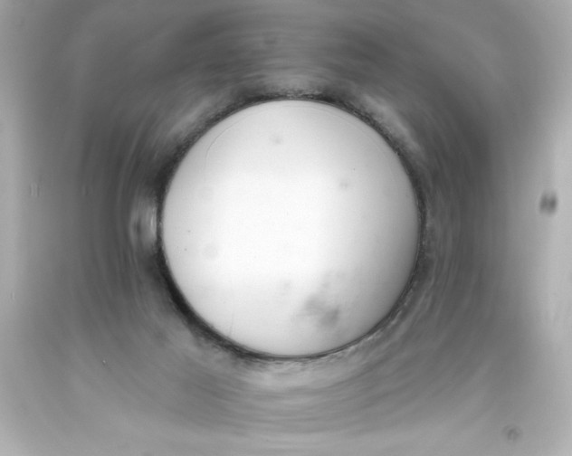 X0000093380021200711011259