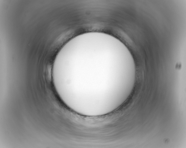 X0000093380022200711011259