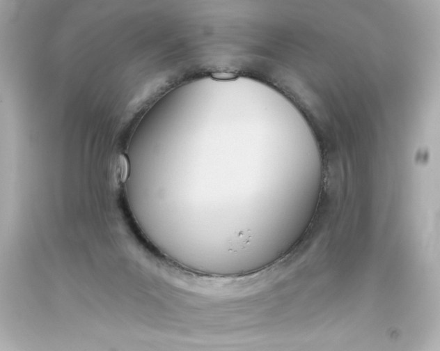 X0000093380023200711011259