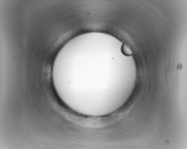 X0000093380024200711011259