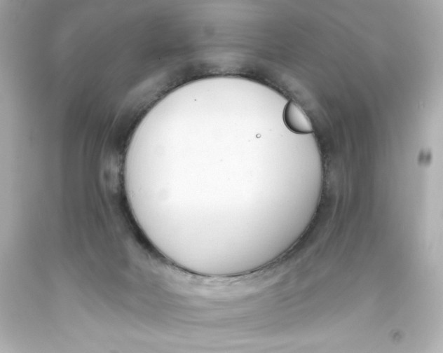 X0000093380026200711011259