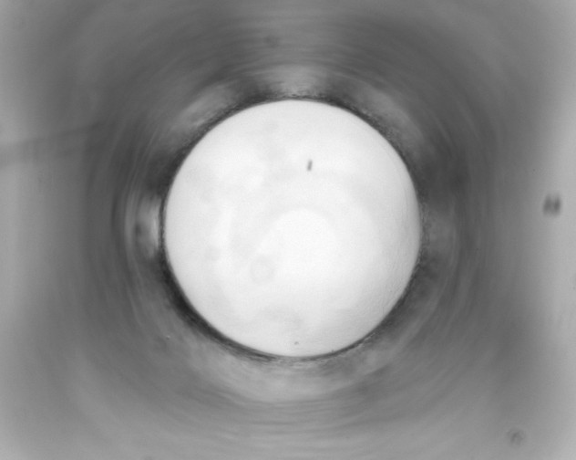 X0000093380028200711011259