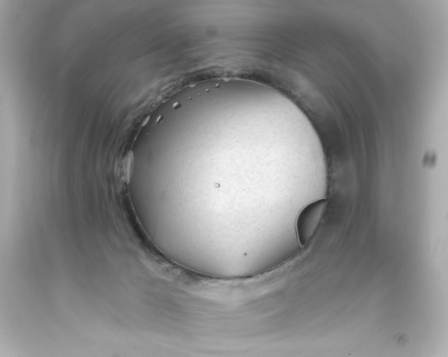 X0000093380029200711011259