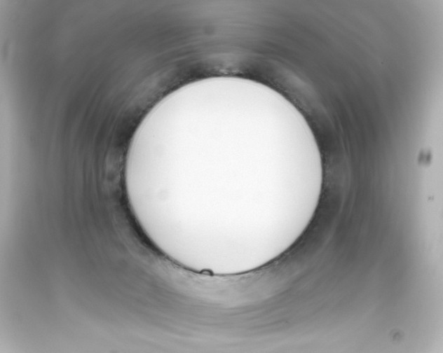 X0000093380030200711011259