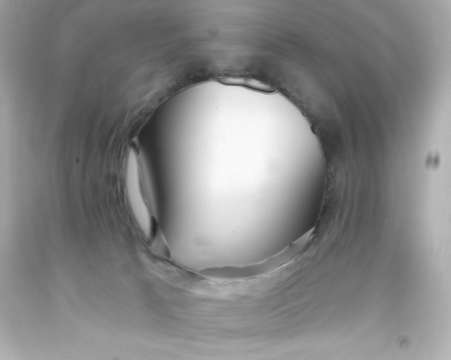 X0000093380033200711011259