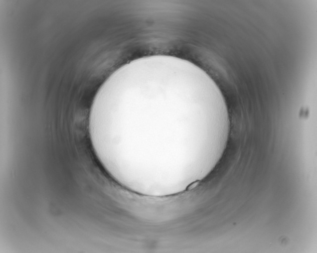 X0000093380034200711011259