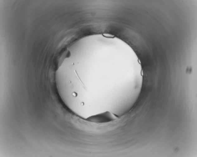 X0000093380035200711011259