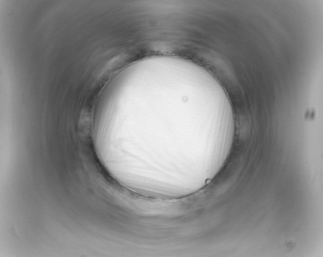 X0000093380036200711011259