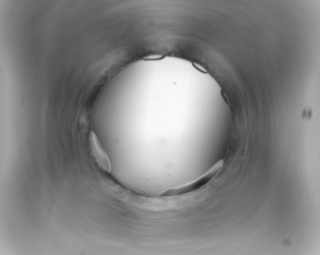 X0000093380037200711011259