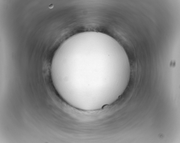 X0000093380038200711011259