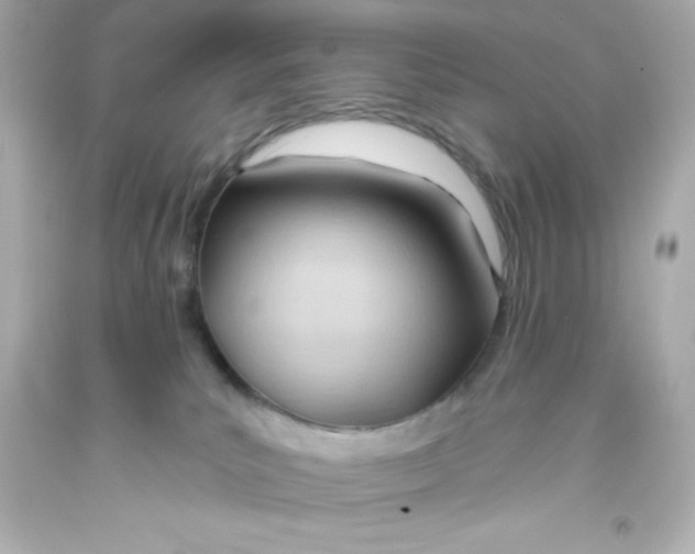 X0000093380039200711011259