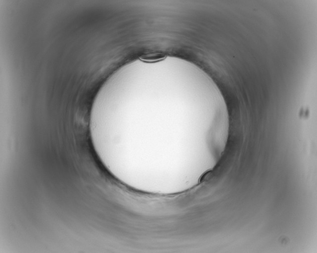 X0000093380040200711011259