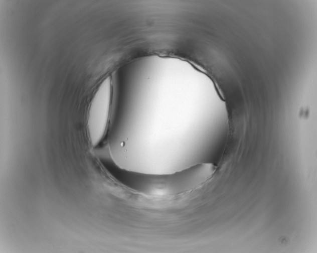 X0000093380041200711011259