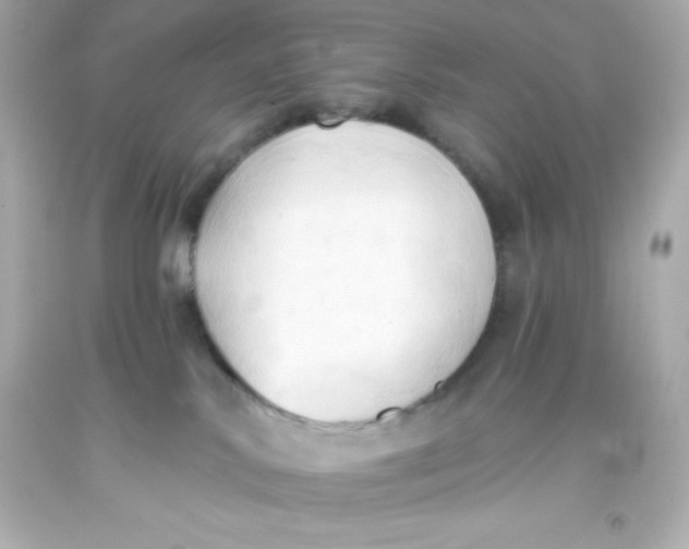 X0000093380042200711011259