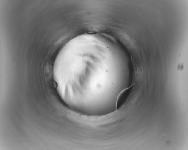 X0000093380043200711011259