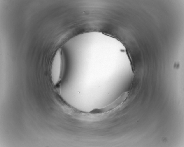 X0000093380045200711011259