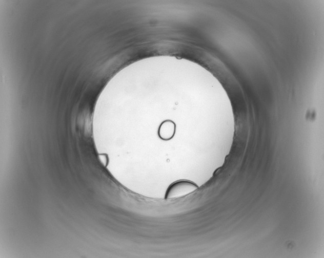 X0000093380046200711011259