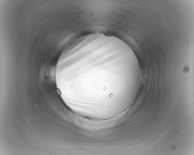 X0000093380047200711011259