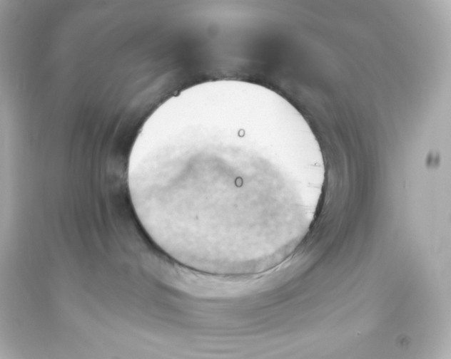 X0000093380048200711011259