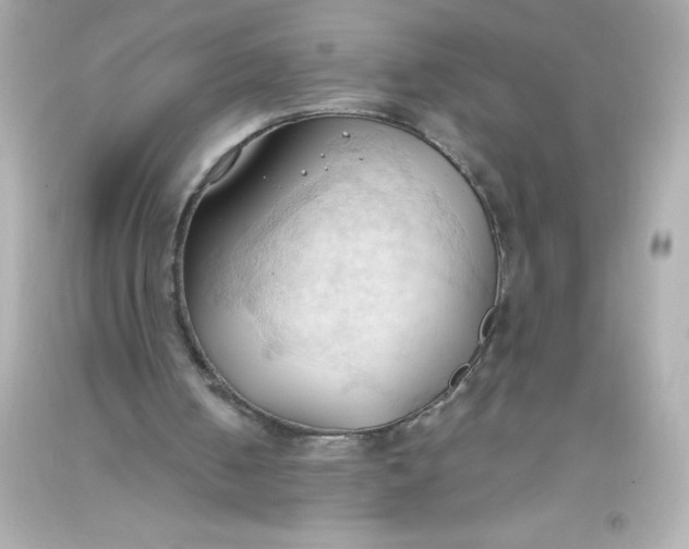 X0000093380050200711011258