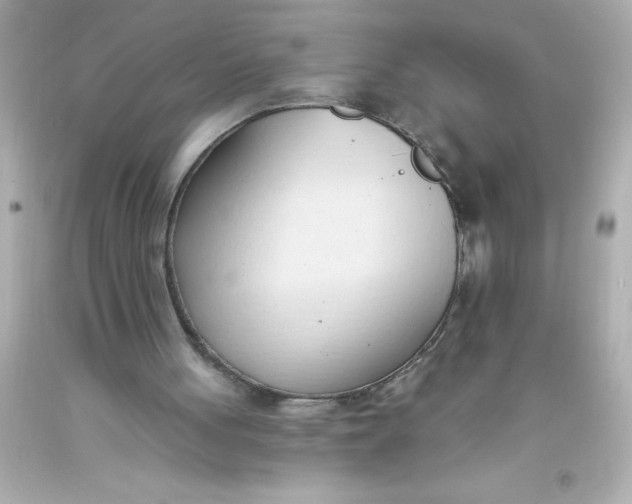 X0000093380051200711011258