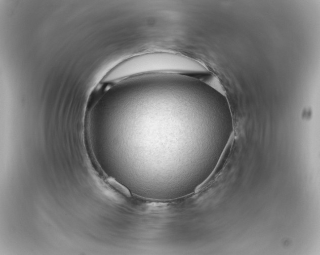 X0000093380052200711011258