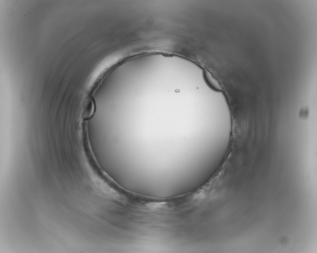 X0000093380054200711011258