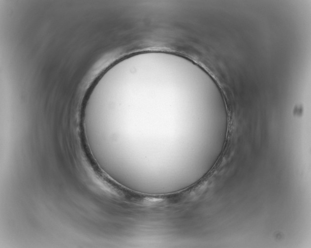 X0000093380055200711011258