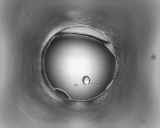 X0000093380056200711011258