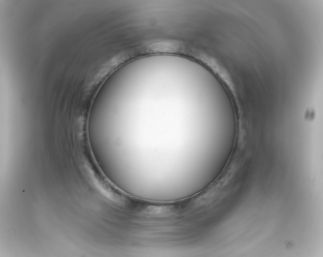 X0000093380057200711011258