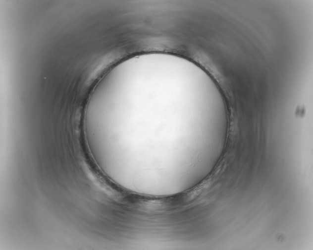 X0000093380058200711011258