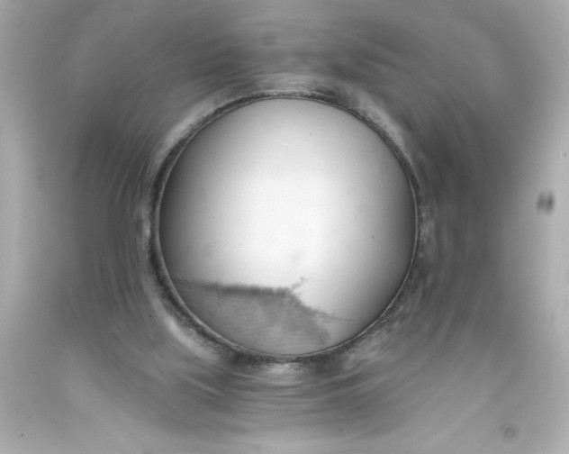 X0000093380059200711011258