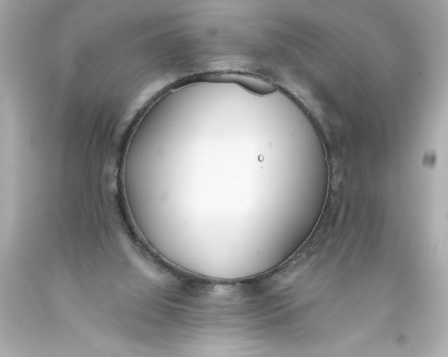 X0000093380060200711011258