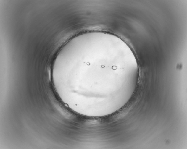 X0000093380061200711011258