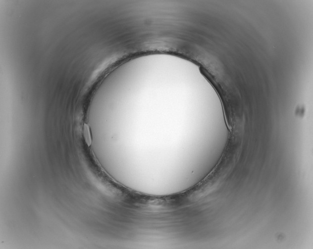 X0000093380064200711011258