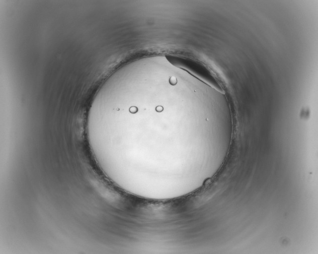 X0000093380065200711011258