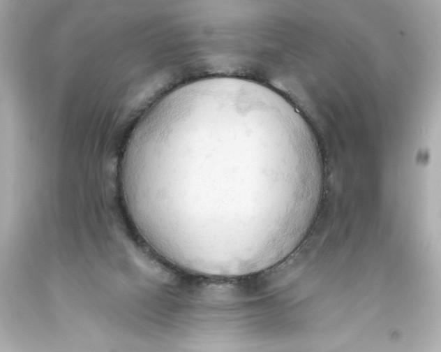 X0000093380066200711011258