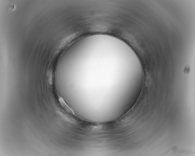 X0000093380068200711011258