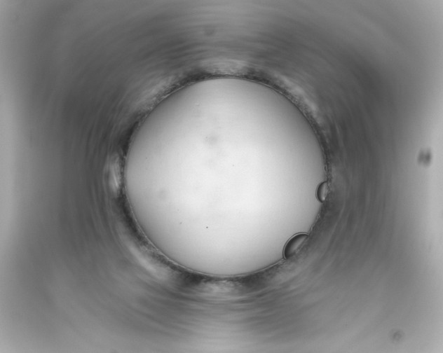 X0000093380069200711011258