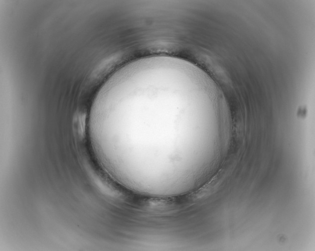 X0000093380070200711011258